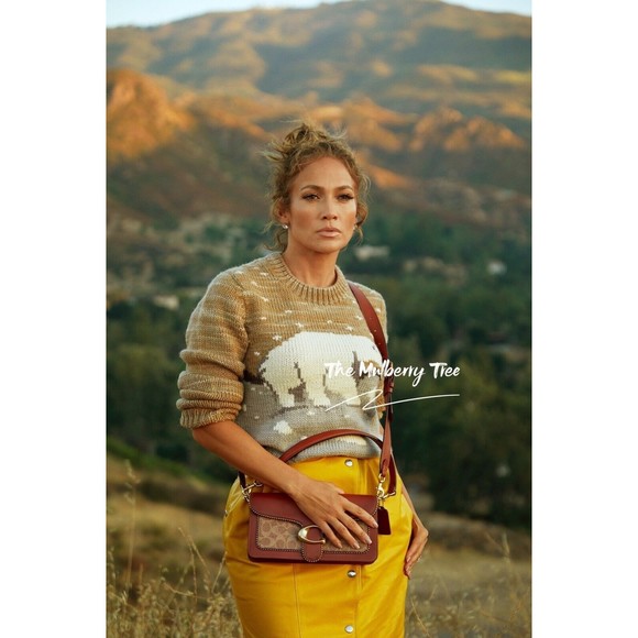 Coach Tabby 6793 Shoulder Bag 26 In Signature Canvas With Beadchain Beige NWT - Picture 8 of 13